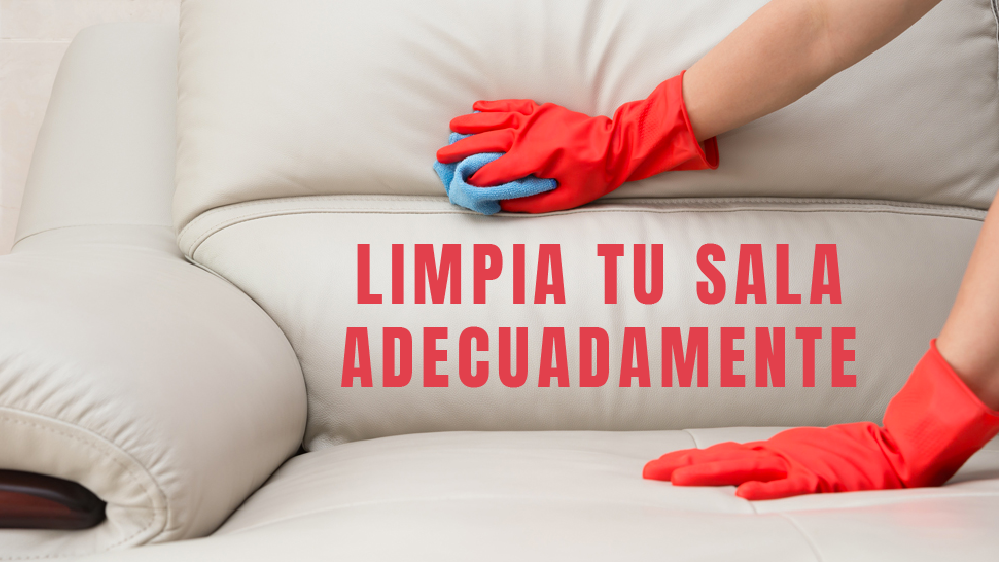 Limpia tu sala adecuadamente
