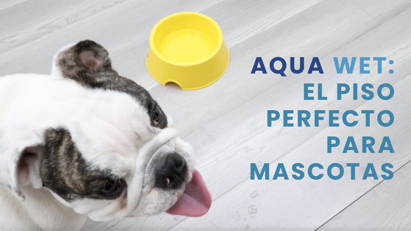Aqua Wet: El Piso Perfecto para Mascotas que No se Raya