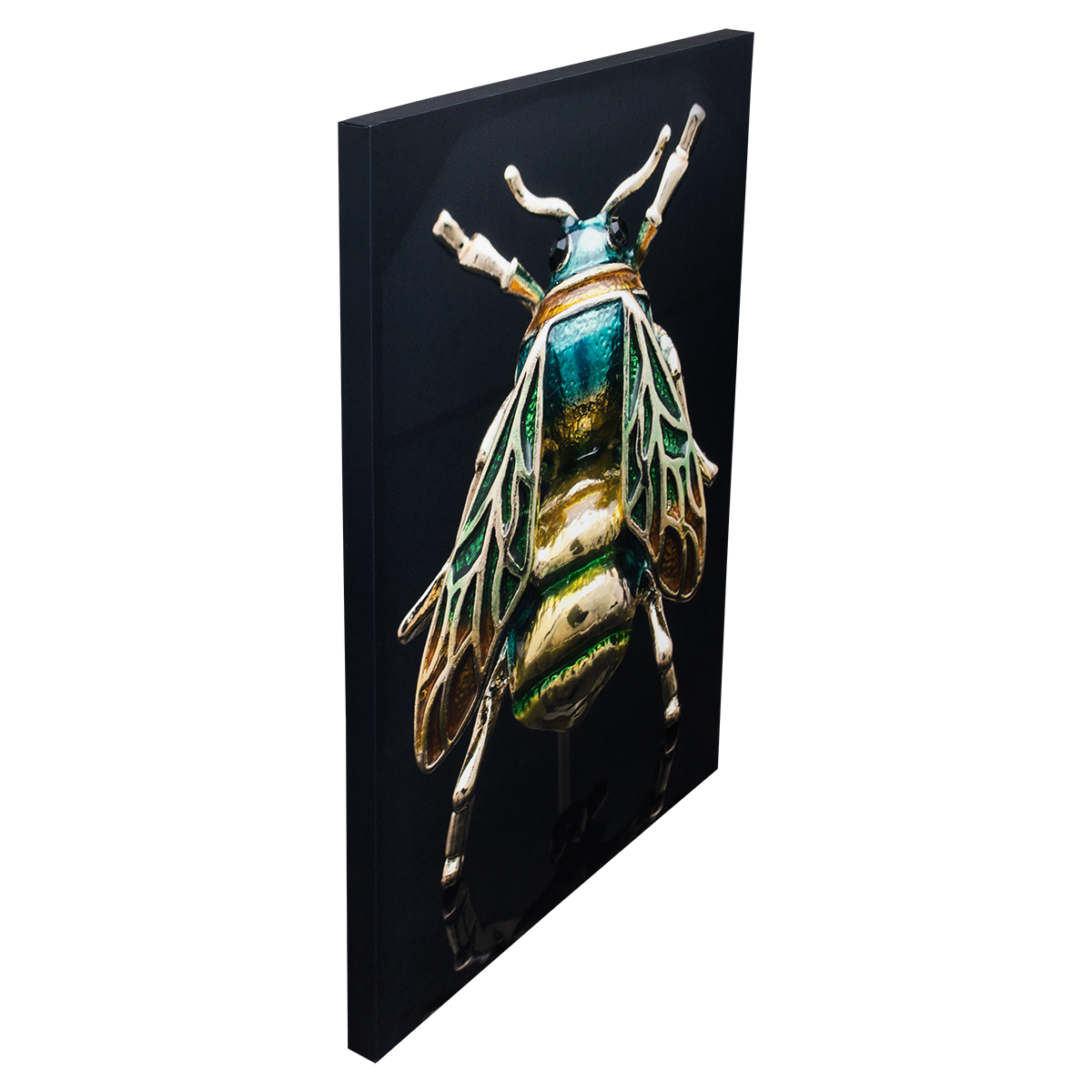 Cuadro Decorativo Escarabajo