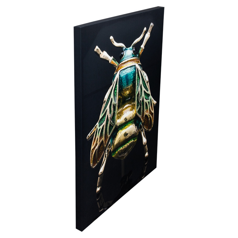Cuadro Decorativo Escarabajo